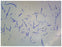 Fisher Scientific SLIDE, BACTERIA SMEAR SPORES - S06337PS