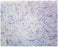 Fisher Scientific - Prepared Microscope Slide 25 X 75 X 1 mm Plain - S06346PS