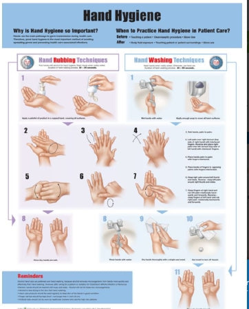 Anatomical Chart Company Anatomical Chart Hand Hygeine 20 X 26 Inch Heavy Paper Grommets Laminated - 9781451193381