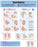 Anatomical Chart Company Anatomical Chart Hand Hygeine 20 X 26 Inch Heavy Paper Grommets Laminated - 9781451193381