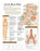 Anatomical Chart Company - Anatomical Chart Low Back Pain 20 X 26 Inch Heavy Paper Grommets Laminated - 9780781782425