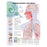 Wolters Kluwer Health Inc Chart Educational Understanding Influenza 20X26" Ea - 9781587798863