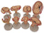 Nasco - Fetus Development Set - SB47759