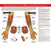 Market Lab - Anatomical Chart Blood Collection 17 X 22 Inch Laminated - 5488