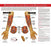 Market Lab Inc Anatomical Chart Blood Collection 17 X 22 Inch Laminated - 5488