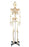 Anatomical Chart Company - Numbered Budget Bucky Skeleton Life Size 22 lbs. Plastic - CH10N