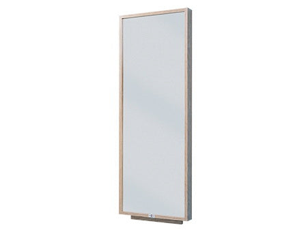 Hausmann Industries Wall Mount Mirror 4 X 24 X 66 Inch - 1672