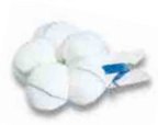 Derma Sciences - Surgical Tonsil Sponge Cotton / Gauze 1 Inch Diameter 100 Count Bag NonSterile - 10245