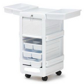 Brandt Industries Medical Cart 15 X 16 X 29 Inch, 2-3/4 X 9-1/4 X 13-1/4 Tray Gloss White - 30820