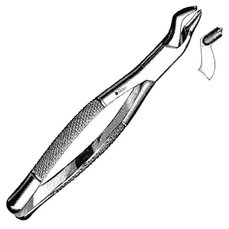 Sklar Sklar Extracting Forceps Premium OR Grade Stainless Steel NonSterile NonLocking Plier Handle Angled Left #53 Serrated Tips - 49-4140