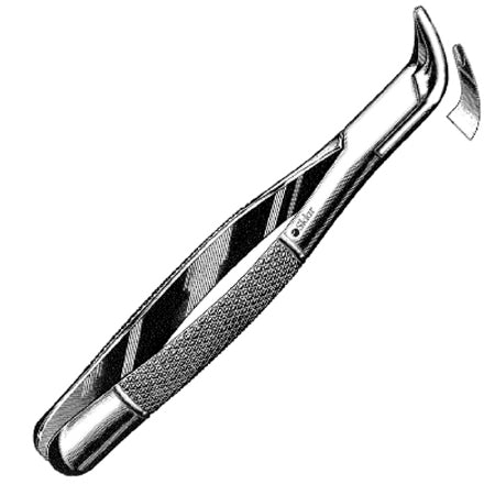 Sklar Sklar Extracting Forceps Premium OR Grade Stainless Steel NonSterile NonLocking Plier Handle Curved #203 Serrated Tips - 49-4290