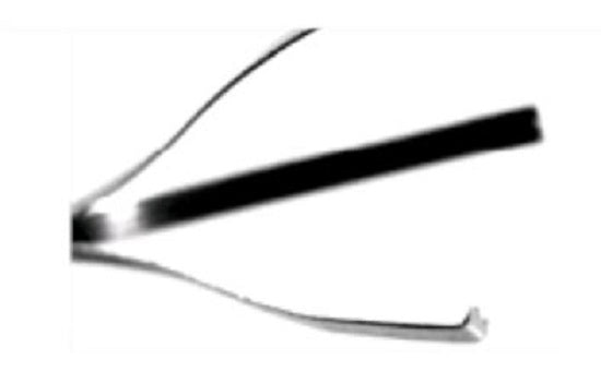 Curved Allis Teeth