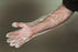 Cellucap Mfg Co Elbow Length Food Service Glove One Size Fits Most Smooth Clear Polyethylene - PG5E