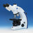 Fisher Scientific Zeiss Primo Star Compound Microscope Binocular 4X / 10X / 40X / 100X (Oil Plan Achromatic) Fixed Stage - 12171480