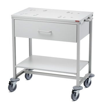Seca Mobile Cart Aluminum 17.1 X 28.1 X 31.5 Inch - 4030000009