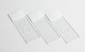Cytoslide - Cytology Microscope Slide 25 X 75 X 1 mm White End - 12070266