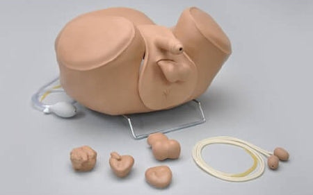 Nasco Gaumard ZACK Multipurpose Male Care Simulator - SB48848 L