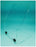Fisher Scientific - Biohazard Shield 11 X 12 Inch - 22000183