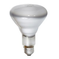 Bulbtronics Osram Incandescent Lamp 120 Volts 65 Watts - 2855