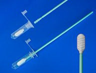 Fisher Scientific Isohelix DNA Buccal Swab - NC9679349