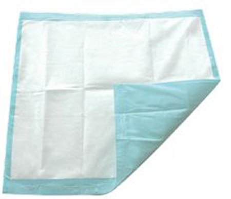TotalDry - Underpad 30 X 30 Inch Disposable SecureLoc Light Absorbency - SP113009
