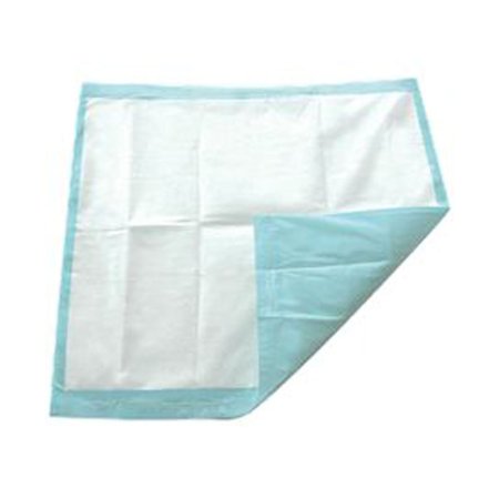 TotalDry - Underpad 30 X 30 Inch Disposable SecureLoc Light Absorbency - SP113062