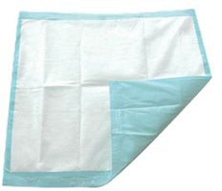 Secure Personal Care Products TotalDry Underpad 30 X 36 Inch Disposable Fluff / Polymer Heavy Absorbency - SP115409