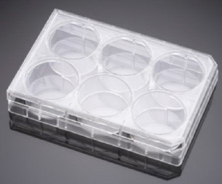 Falcon - Multiwell Cell Culture Plate Polystyrene - 353047