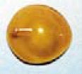 Marina Medical Inc Eye Protector Medium Suction Cup - OK23-204B