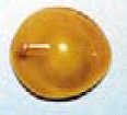 Marina Medical - Eye Protector Medium Suction Cup - OK23-204B