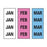 Key Surgical Key Surgical ID Sheet Tape Chart Tab JAN, FEB, MAR Blue / Pink / White 8-1/2 X 11 Inch - T-901-01