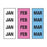 Key Surgical - Pre-Printed Label Multipurpose Label Light Blue / Pink / White Tape Month Patterned 1/4 Inch - T-901-01