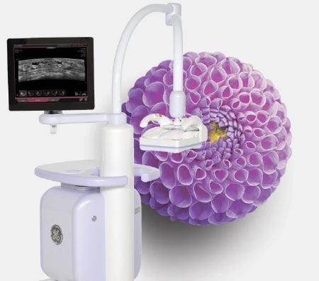 GE Healthcare Ultrasound System Lesions in Mammary Gland Evaluation Option Automatic Detection, Contouring and Measurement of Lesions in the Mammary Gland - H4913AB