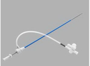 Performer - Introducer 16 Fr. X 30 cm Length X 5.3 mm ID For up to .038 Inch Diameter Guidewire - G09691