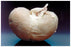 Fisher Scientific Fisher Science Education Preserved Sheep Kidney Plain Injection Type - S9216S