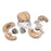 Nasco - Brain Model 8 Part - SB41143