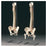 Dynatronics Vetebral Columns - ARMA591F