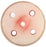 Edvotek Forensic Antigen Detection - Student Lab Activity - S99517