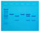 Edvotek - Cholesterol Diagnostics Educational Kit 8 gels, Refrigerated - S94608