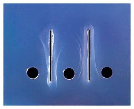 Fisher Scientific - Immunoelectrophoresis Educational Kit - S90247