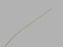 Cook Medical - Guidewire .035 Inch Diameter 80 cm Length Standard Straight Tip - G01315