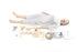 Laerdal Medical Nursing Anne Traning Mannequin Female Adult - 325-05050B