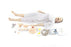 Nursing Anne SimPad Capable - Training Manikin Full-Size / Brown Skin Tone Female Adult - 325-05050B
