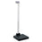 Detecto - Floor Scale Digital Display 660 lbs. / 300 kg Capacity Black / White AC Adapter / Battery Operated - APEX