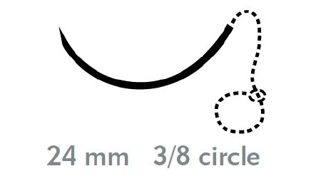 Quill Variable Loop Device, Monoderm - Suture with Needle Absorbable Uncoated Undyed Suture Barbed Monofilament Polyglycolic Acid / PCL Size 2 - 0 20 cm Suture 1-Needle 24 mm Length 3/8 Circle Precision Reverse Cutting Needle - VLM-1022