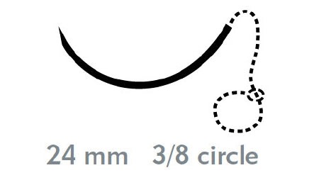 Quill Variable Loop Device, Monoderm - Suture with Needle Absorbable Uncoated Violet Suture Barbed Monofilament Polyglycolic Acid / PCL Size 2 - 0 20 cm Suture 1-Needle 24 mm Length 3/8 Circle Precision Reverse Cutting Needle - VLM-1023