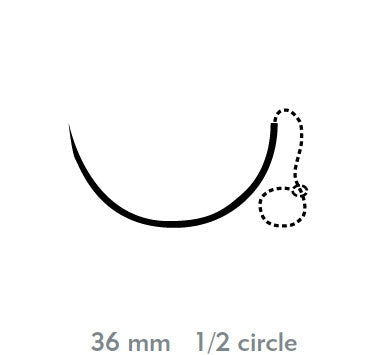 Quill Variable Loop Device, Monoderm - Suture with Needle Absorbable Uncoated Undyed Suture Barbed Monofilament Polyglycolic Acid / PCL Size 0 20 cm Suture 1-Needle 36 mm Length 1/2 Circle Taper Point Needle - VLM-1024