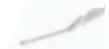 GE Healthcare Logiq P-Series Endocavity Transducers - H44801HR