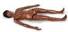 Gaumard - Hospital Training Manikin with Ostomy / Dark Male / Female - SB20140 D