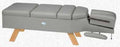 1999 Series - Chiropractic Table - 1999-CA